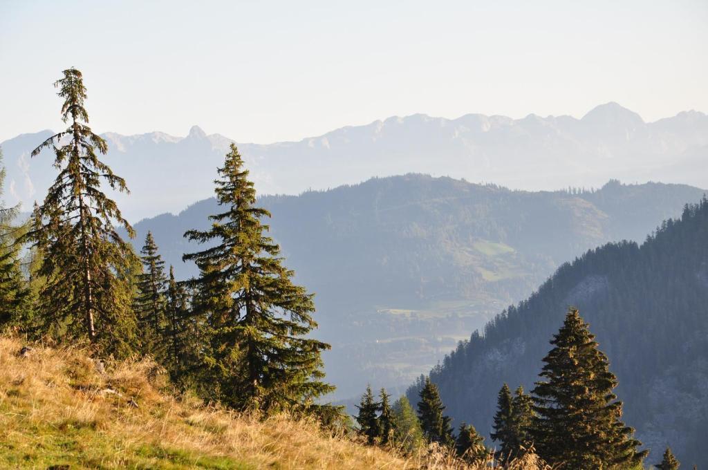 Pension Posauner Dorfgastein Εξωτερικό φωτογραφία